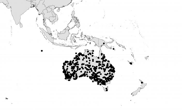 World map showing distribution of Orb-Weaving spider, concentrated in Australia